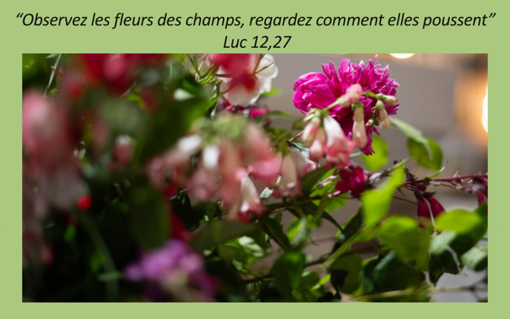 Garder un coeur tourné vers le Seigneur !